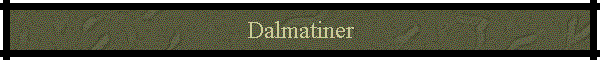 Dalmatiner