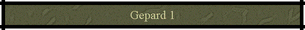 Gepard 1