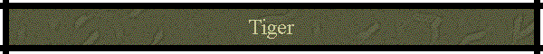 Tiger